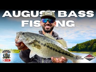 From Dinks to Donkeys: Leveling Up Your August Bass Game