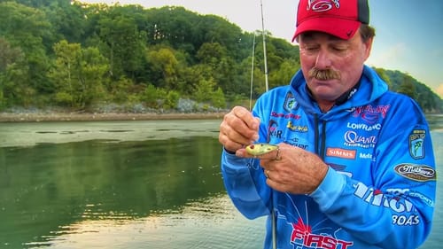 How to Work Lipless Crankbaits to Trigger Bass Anytime