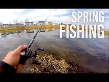 Fishing Grass and Reeds -- Spring Pond Bass