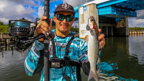 Dropping Giant Baits Around Bridges