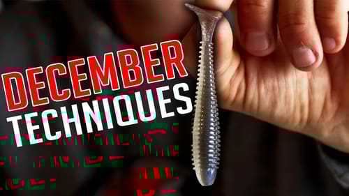 3 TECHNIQUES that are Deadly for DECEMBER Bass FISHING