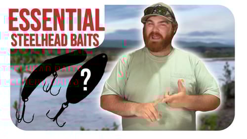 You NEED These Baits For Steelhead!