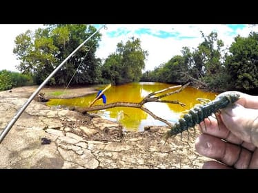 Can You Catch A Fish In A Mud Puddle? (How To Catch Fish In Muddy Water)
