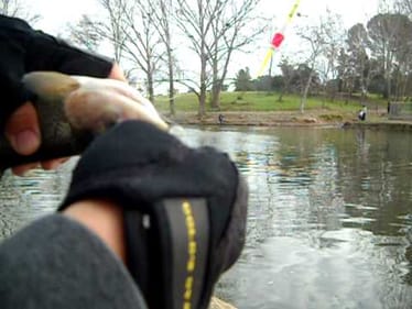 trout fishing woodward park
