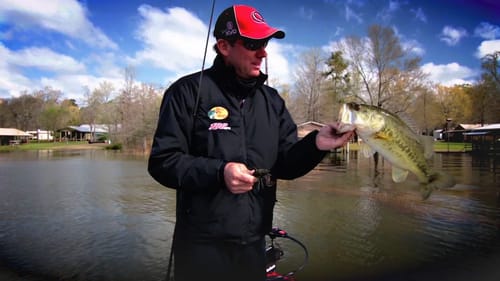How KVD Finds Bass in Spawning Grass Beds