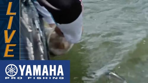 Yamaha Clip of the Day: Bryan Schmitt narrowly lands bass as it comes unhooked