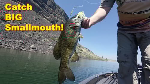 Smallmouth Bass Facts And Myths (Scientific Truths You Need To Know) | How To | Bass Fishing