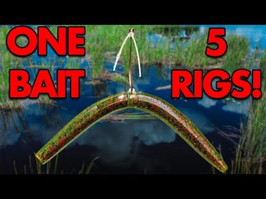 5 Ways to Rig a Senko to Catch MORE Bass!