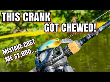 Crankbait Bite was FIRE but... HORRIBLE Mistake Cost $2,000