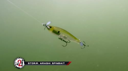 Storm Arashi Spinbait Underwater Video