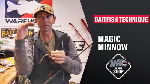 Baitfish Technique You SHOULD Be Throwing! This Bait Is MAGIC!!! | Ike In the Shop