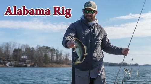 Clear Water ALABAMA RIG Fishing Tips