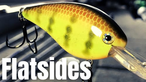 FLATSIDE Crankbait Success (WHERE, WHEN & HOW)