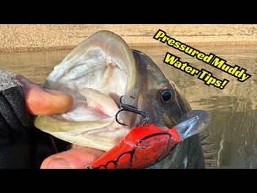 Fishing Tips For Heavily Pressured MUDDY Water that will help you catch more fish!