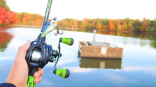 Catching GIANT Bass in CLEAR Water! (Lake Fishing)