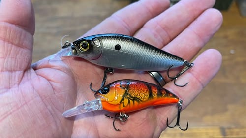 Shad Or Crawdad Color Cranks In Cold Water?…Use THIS Simple System
