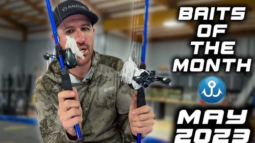 Top 5 Baits of the Month May 2023