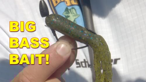 Tube Baits For Largemouth Bass | Bass Fishing