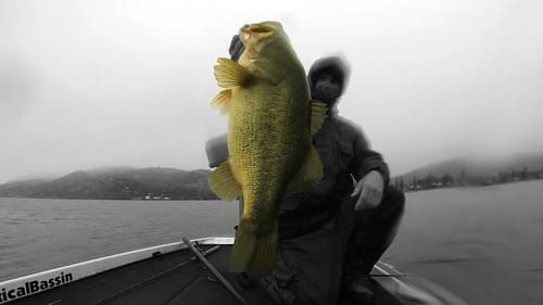 Epic Battle on Light Line: Giant Bass on a Crankbait