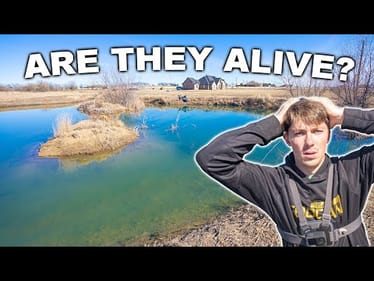 What Happened To My BACKYARD POND???