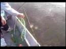 Largemouth Bass fishing in Alabama