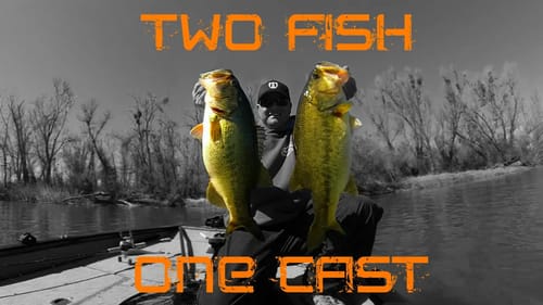 Swimbaits: One Cast Two Giant Bass