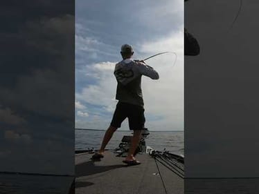 BOAT FLIP ONLY! Flipping Hydrilla on Harris Chain #shorts #bassfishing #harrischain