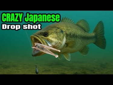 The CRAZIEST Japanese Dropshot Rig I’ve EVER Used Slays Bass