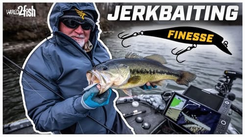 How to Fish Small Jerkbaits for Late Winter Bass