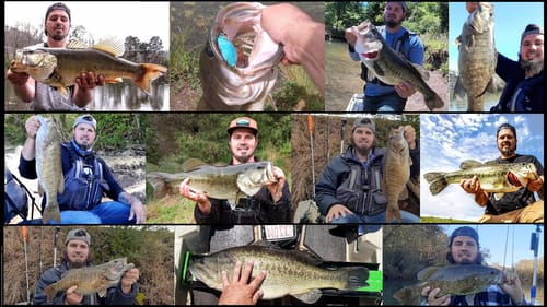 WHY I LOVE BASS FISHING  || MY BEST CATCHES || "OMG"