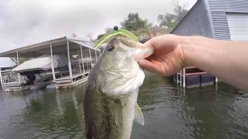 Bass Fishing Before Fall Water Change