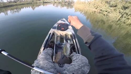 Fishing Sycamore Island 2016