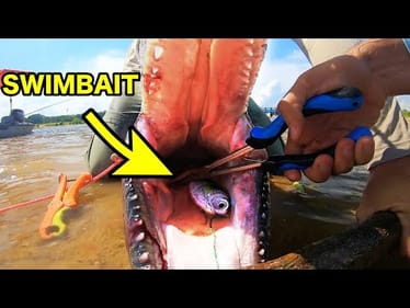 140 lb MONSTER ENGULFS SWIMBAIT!
