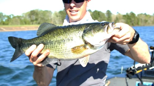 Pre Spawn Bass Fishing Offshore