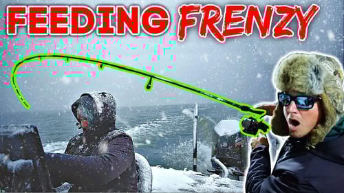 The Rumors are TRUE about Fishing in a BLIZZARD!! (CRAZY)