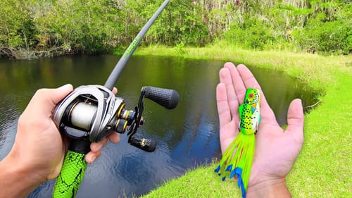 Catching GIANT Bass w/ FROGS! (LOADED)