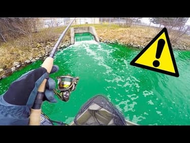 Fishing Sewage Water For River Bottom Feeders