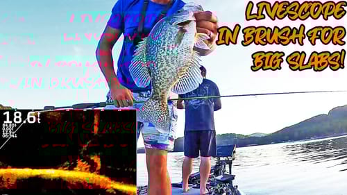 CRAPPIE FISHING BRUSH PILES WITH LIVESCOPE!! (GAMECHANGER)