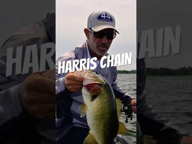 CATCH AND RELEASE‼️ Harris Chain Bass Fishing #shorts #bassfishing #harrischain