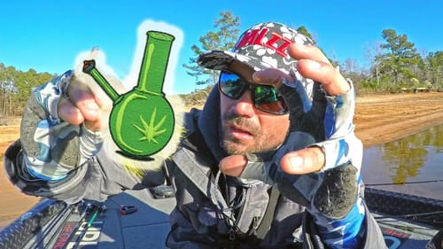 DO FISH GET HIGH?