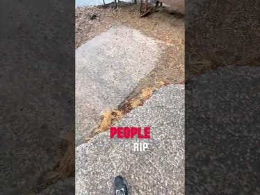 When the lake is all mine.