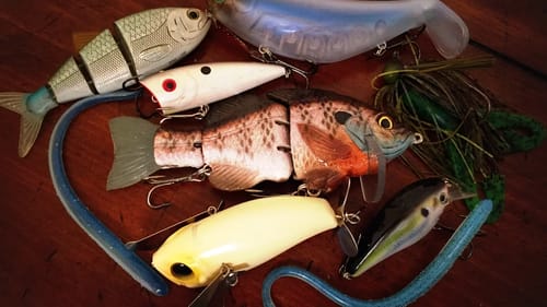 How to Become a Versatile Angler