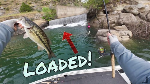 Bass Were LOADED like NACHOS in this WATERFALL!! - Unbelievable Spring Fishing Day on Lake Oroville