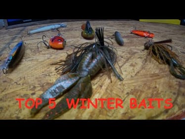 Top 5 BEST WINTER bass BAITS