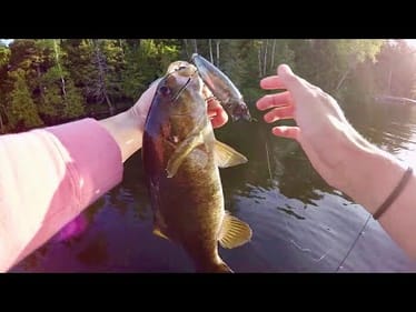 NOT What I Expected! (Northern Ontario Opener)
