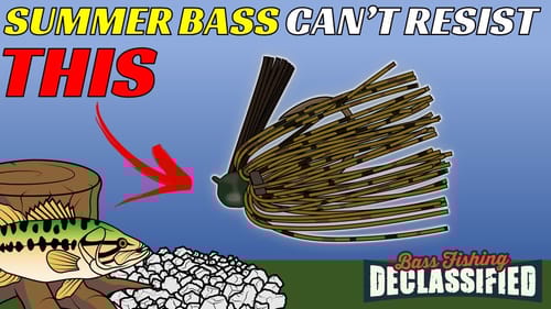 This Technique Works On EVERY Lake For Summer | Don’t Miss Out