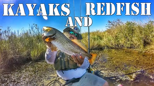 Big Redfish in the Louisiana Delta
