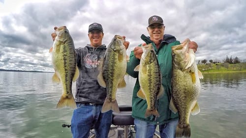 Catching Big Spring Bass On Little Baits