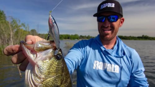 Target Bass With Single Prop Topwater Baits