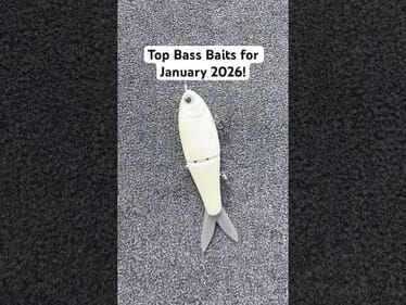 Best BASS Baits January 2026! 🛎️